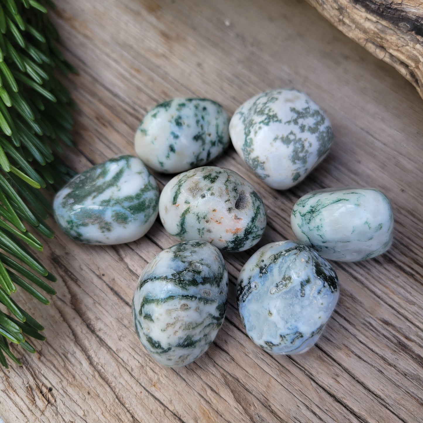 Tree Agate Tumbled (30 - 50 mm)