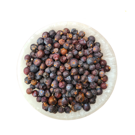 Juniper Berries | Juniperus communis