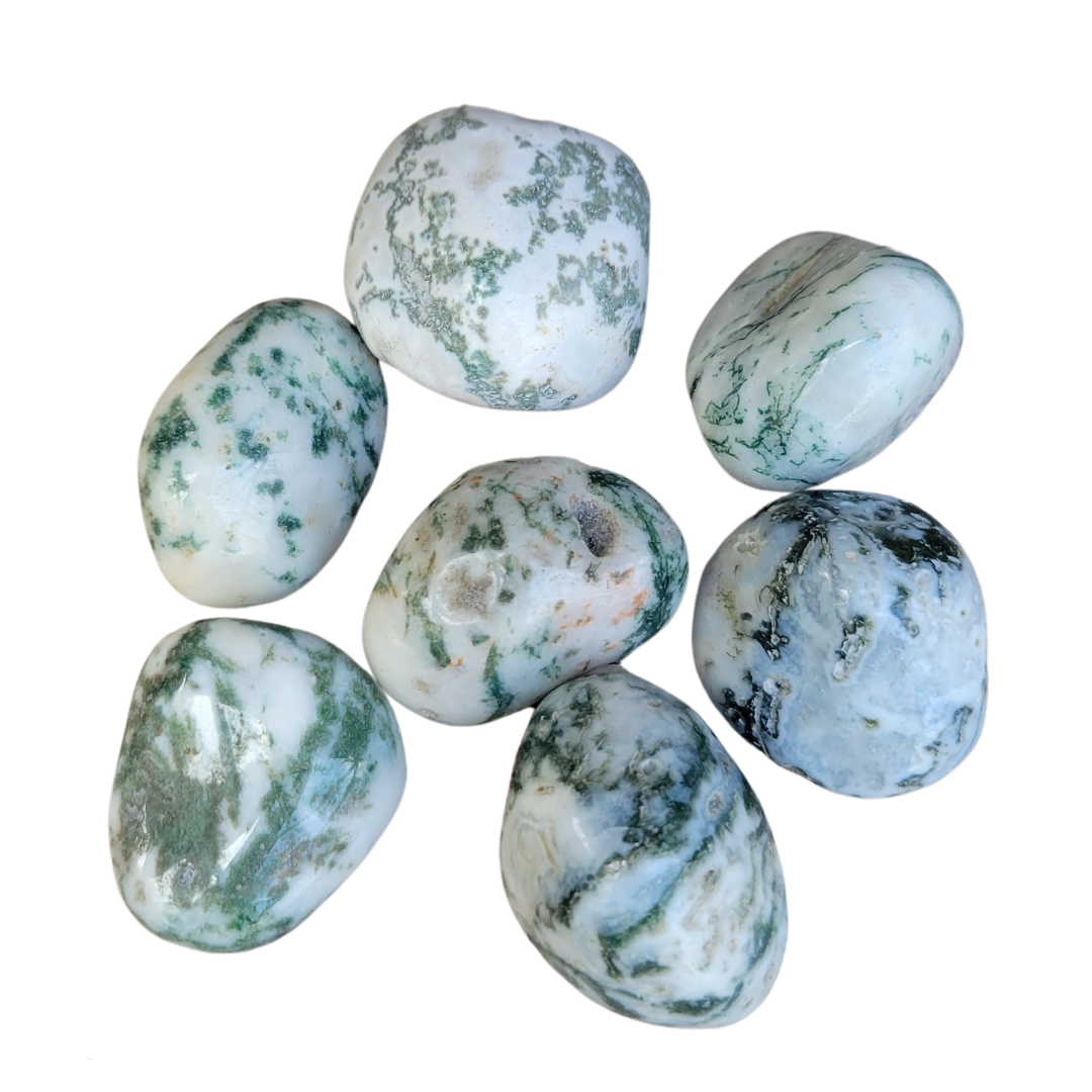 Tree Agate Tumbled (30 - 50 mm)