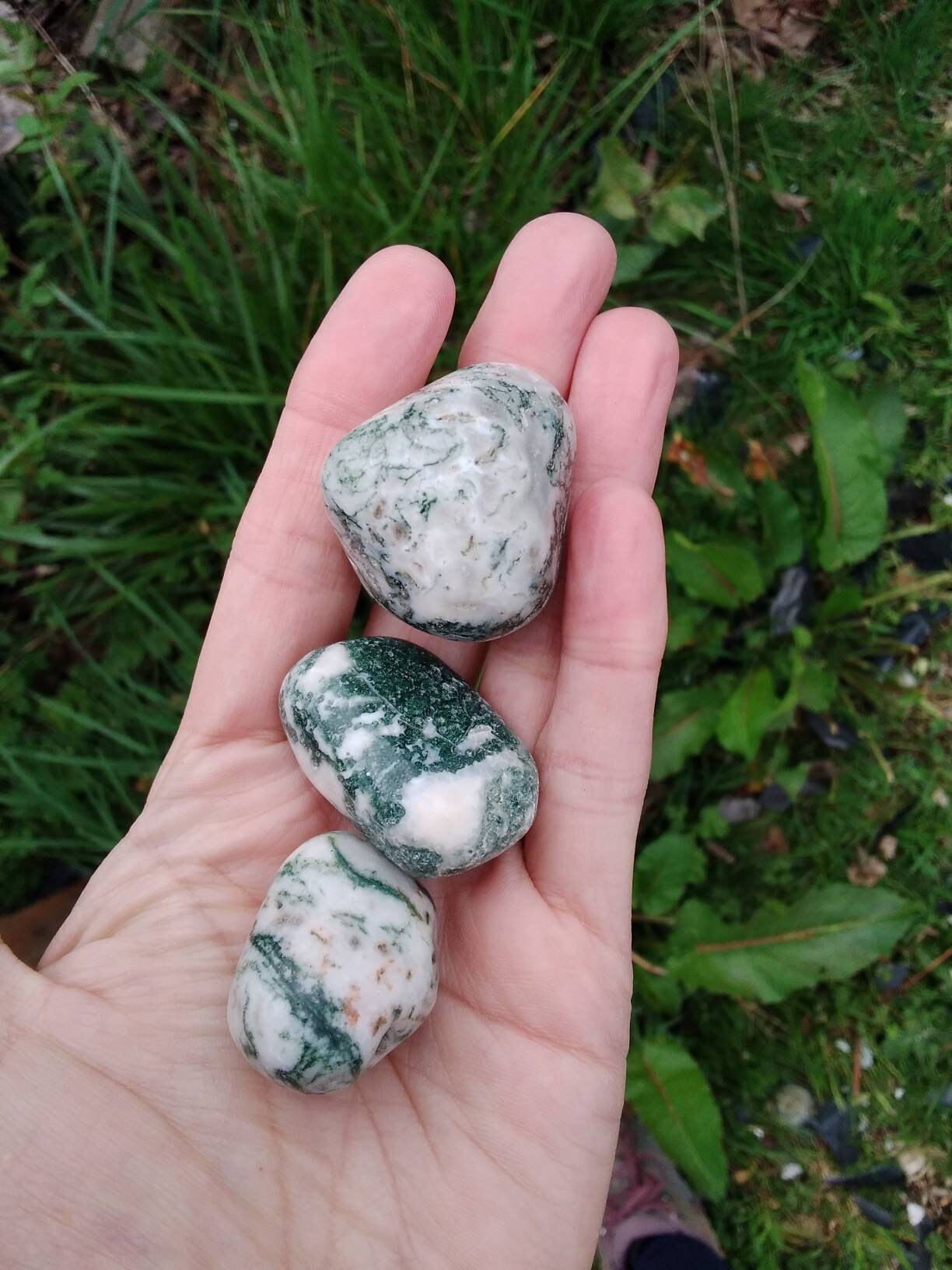 Tree Agate Tumbled (30 - 50 mm)